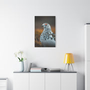 Snowy Grouse Portrait Wall Art & Canvas Prints