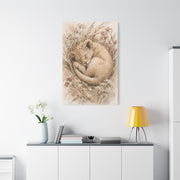 Sleeping Lion Cub Soft Neutral Wall Art & Canvas Print