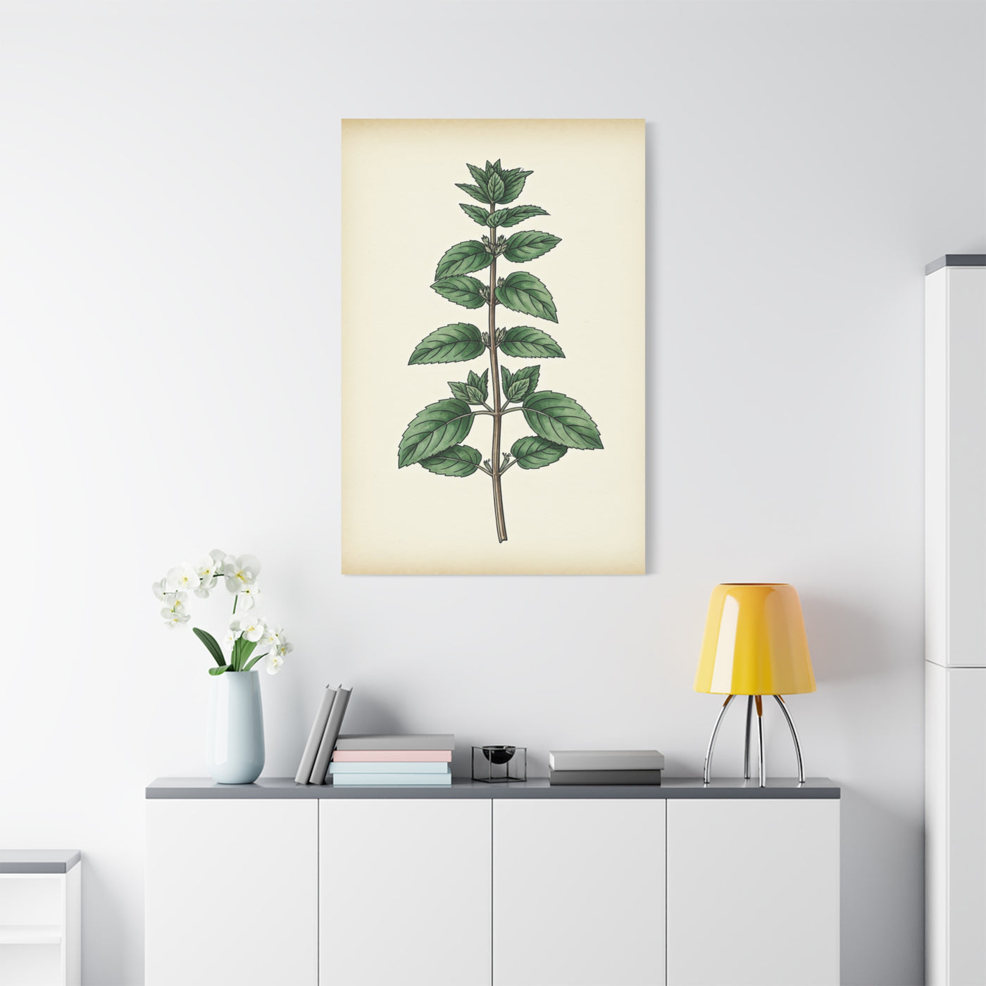 Mint Plant Herbal Illustration Wall Art & Canvas Prints