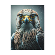 Intense Gaze Hawk Portrait Wall Art & Canvas Prints