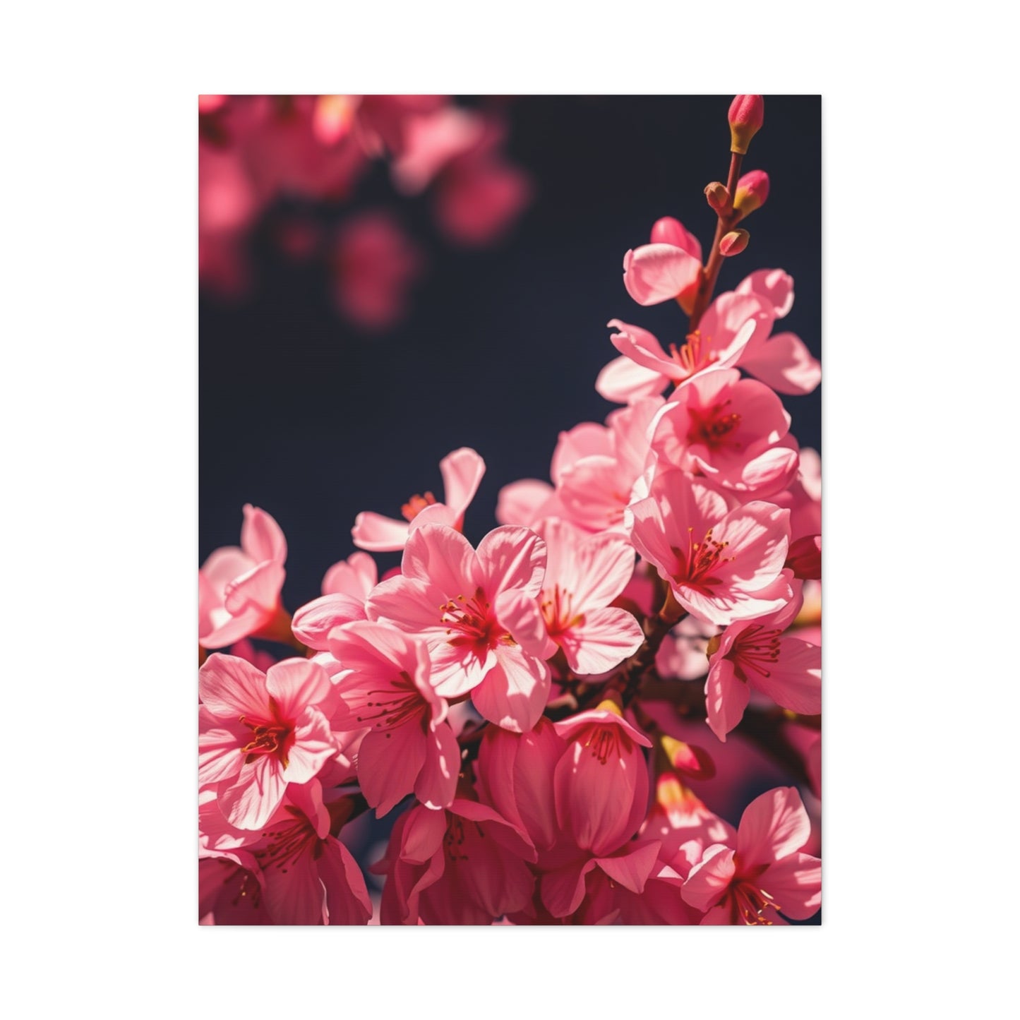 Elite Cherry Blossom Wall Art Vision Wall Art & Canvas Print