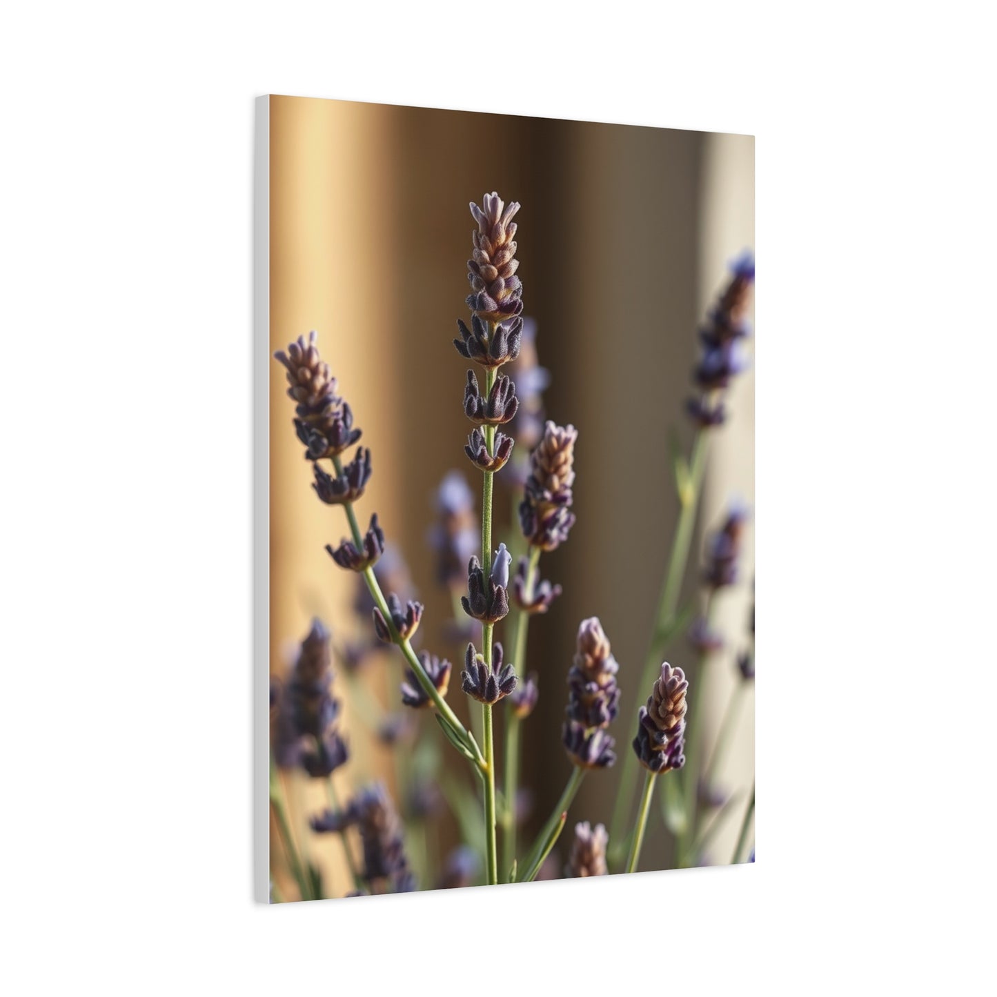 Lavender Herb Art Supreme Canvas Wall Art & Canvas Print