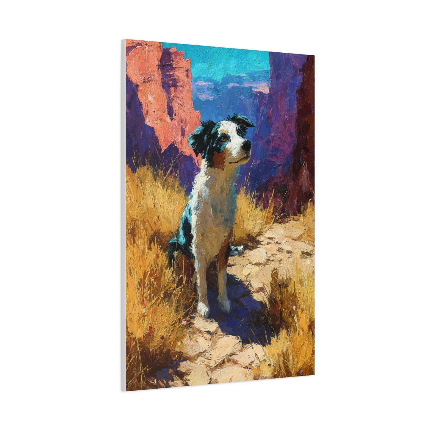 Australian Shepherd Desert Canyon Wall Art & Canvas Print