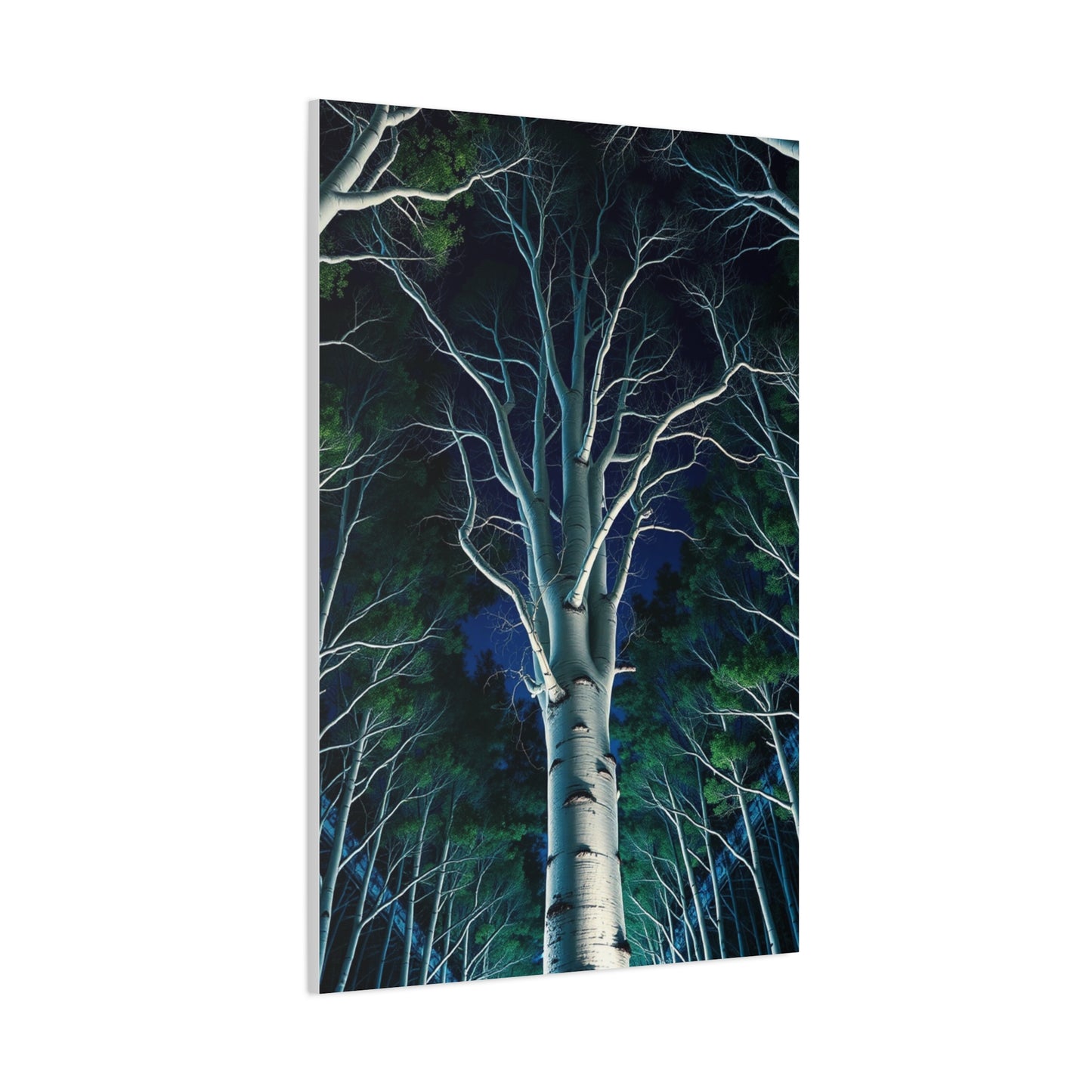 Elite Aspen Tree Art Vision Wall Art & Canvas Print