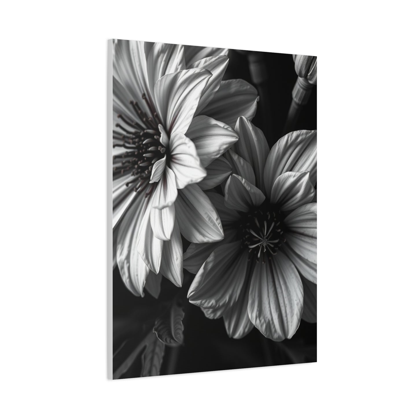 Opulent Petals in Duotone Wall Art & Canvas Print