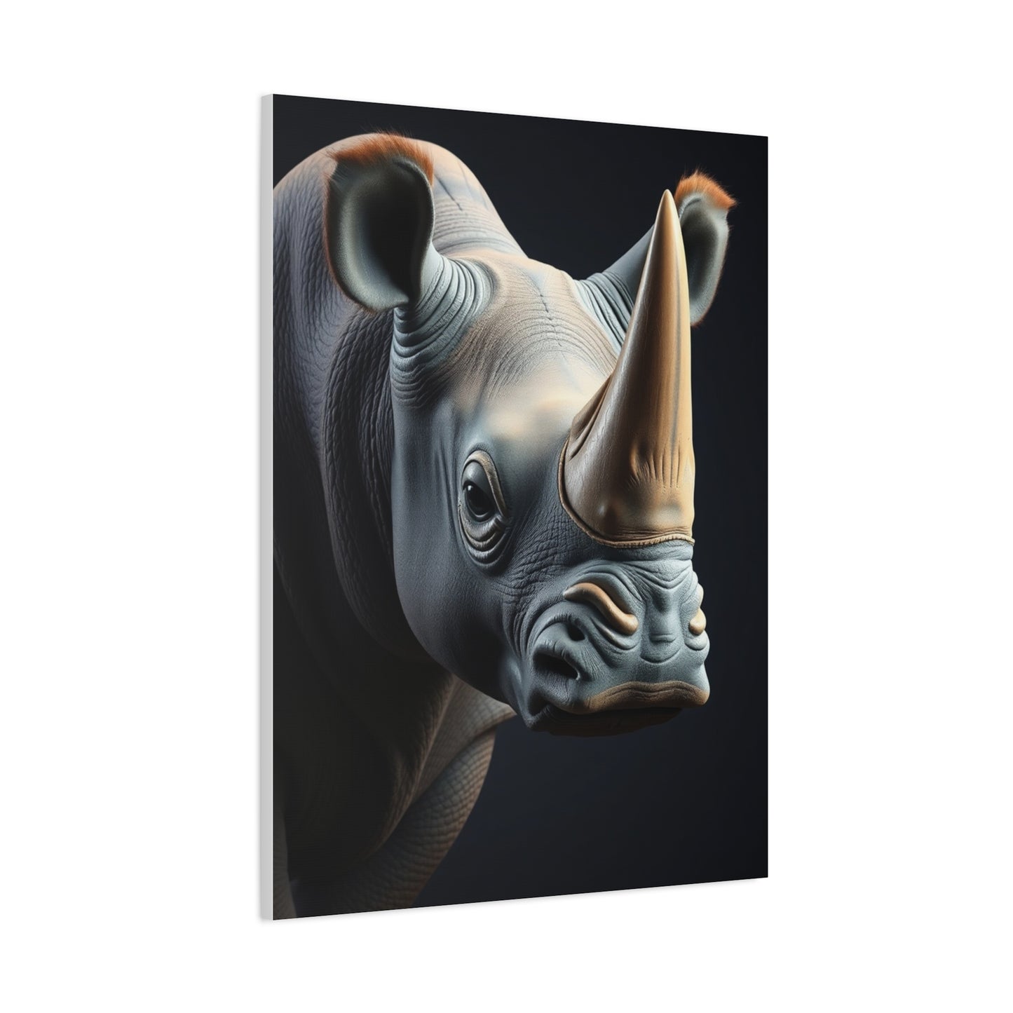 Rhinoceros Art Luxury Canvas Wall Art & Canvas Print