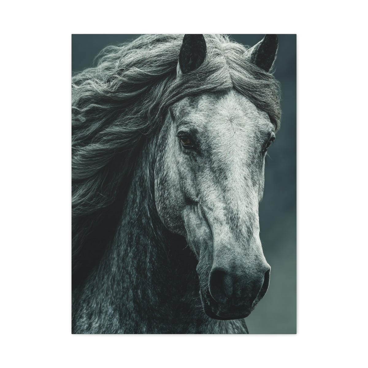 Silver Horse Portrait Wall Art & Canvas Print