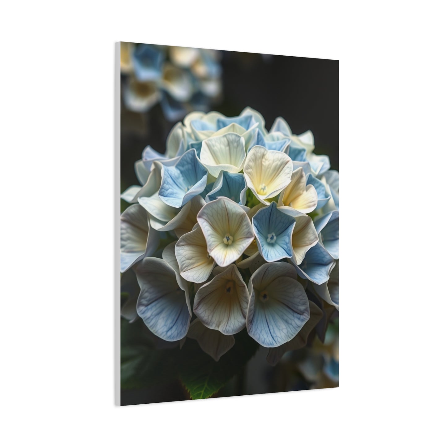 Masterpiece Hydrangea Flower Art Vision Wall Art & Canvas Print