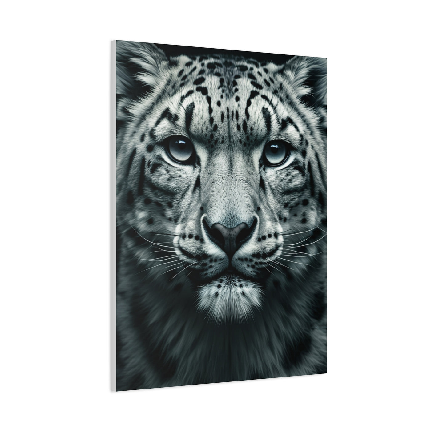 Snow Leopard Intense Gaze Wall Art & Canvas Prints
