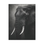 Monochrome Elephant Fine Art Portrait Wall Art & Canvas Print