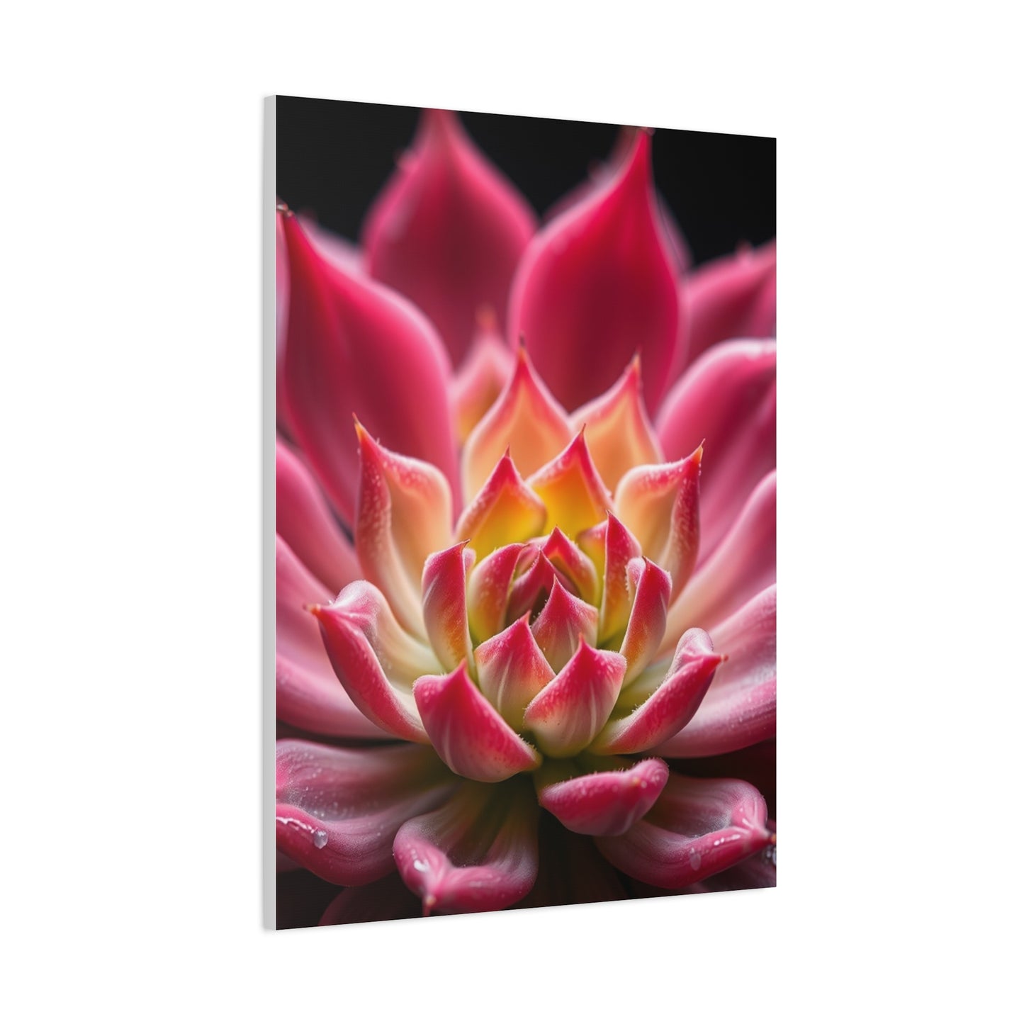 Succulent Art Supreme Canvas Wall Art & Canvas Print