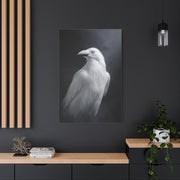 Elegant White Raven Portrait Wall Art & Canvas Print