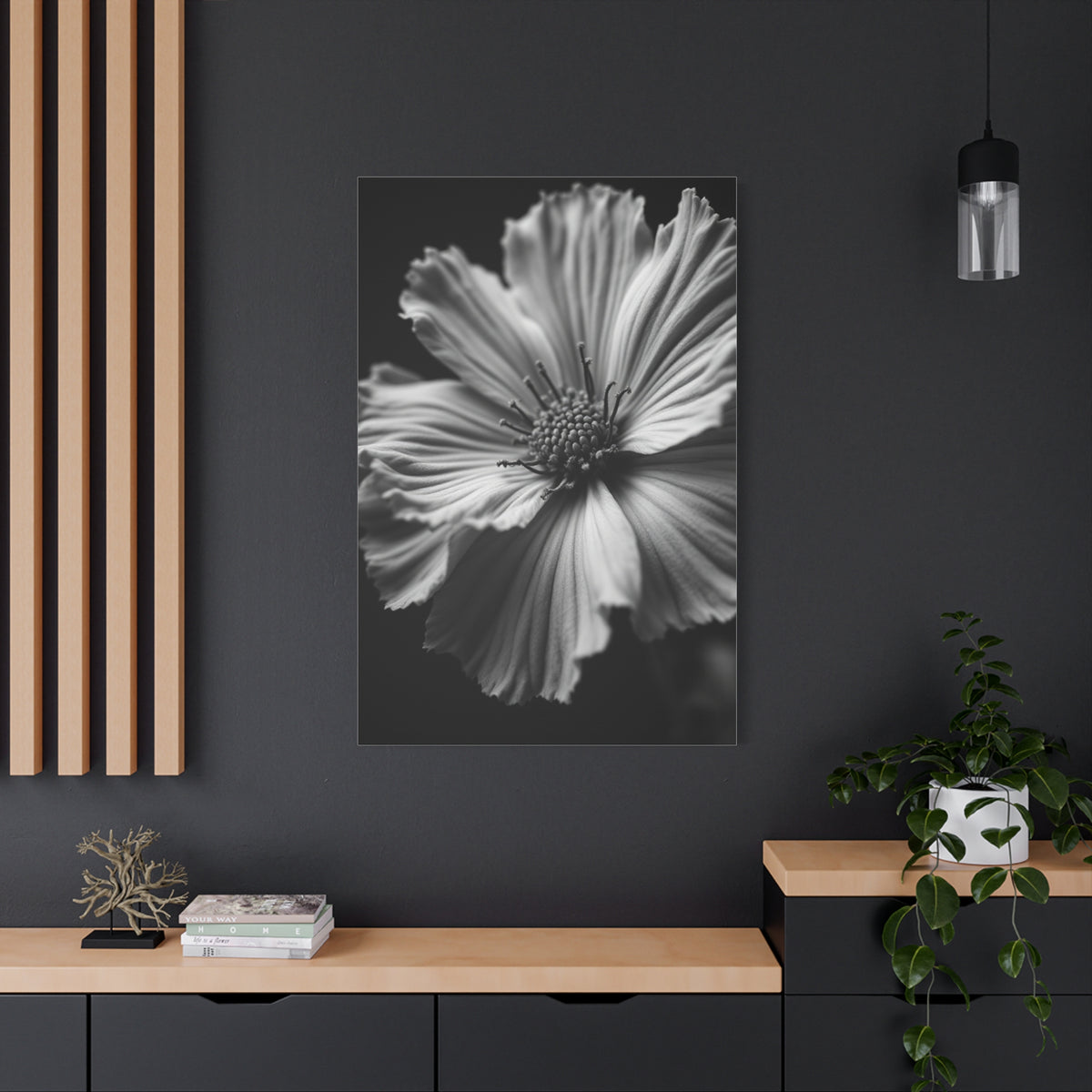 Dramatic Monochrome Cosmos Bloom Wall Art & Canvas Prints