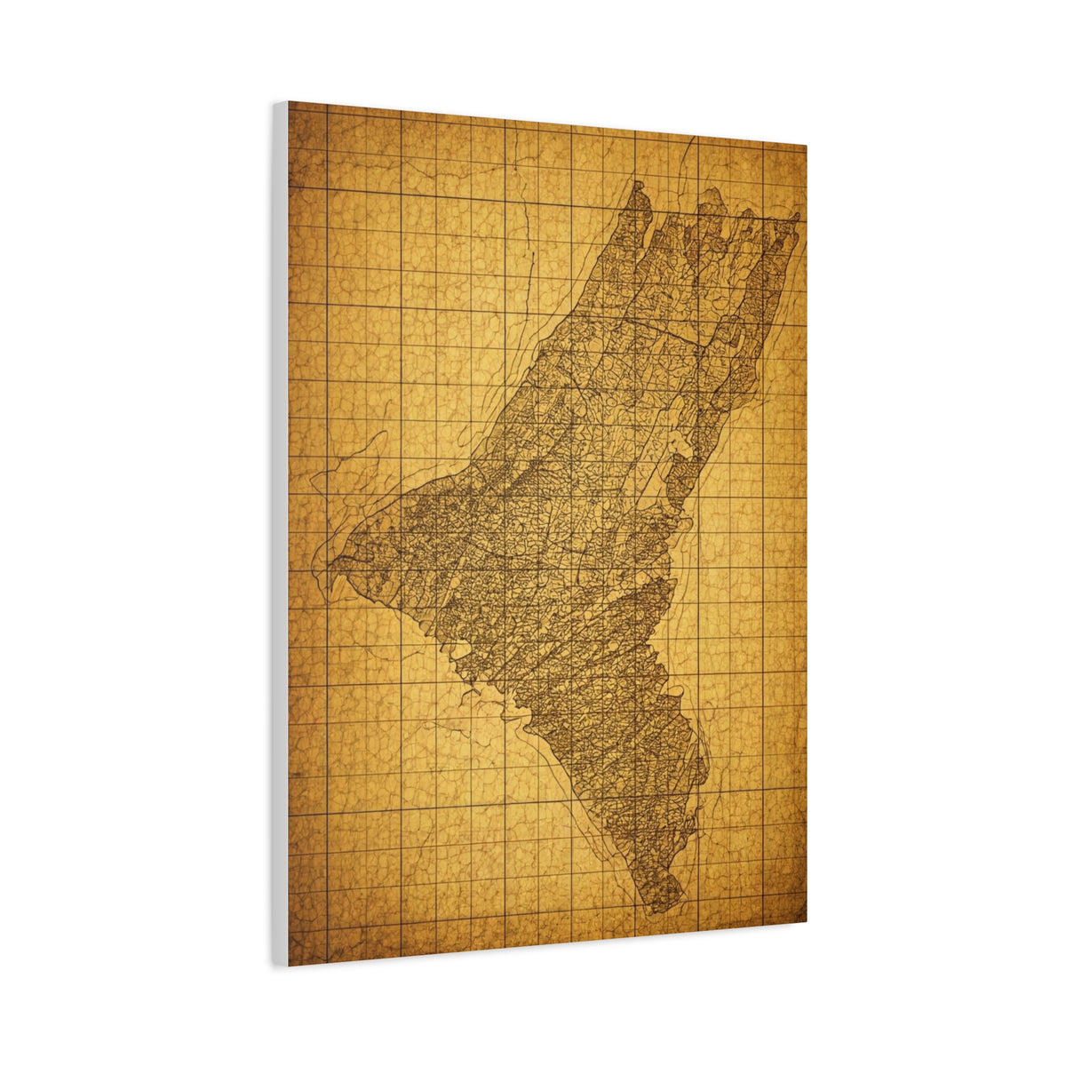 Sepia Gridland Treasure Chart Wall Art & Canvas Prints