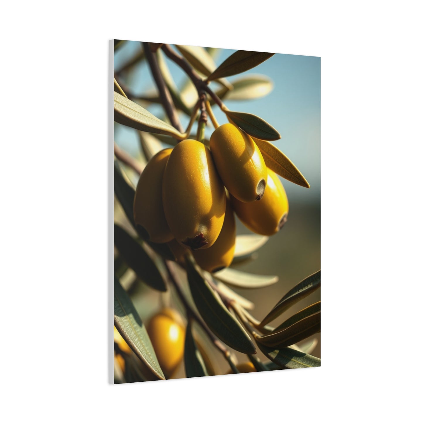Emerald Serenity Showcase Wall Art & Canvas Print