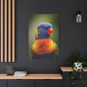 Vibrant Rainbow Lorikeet Wall Art & Canvas Prints