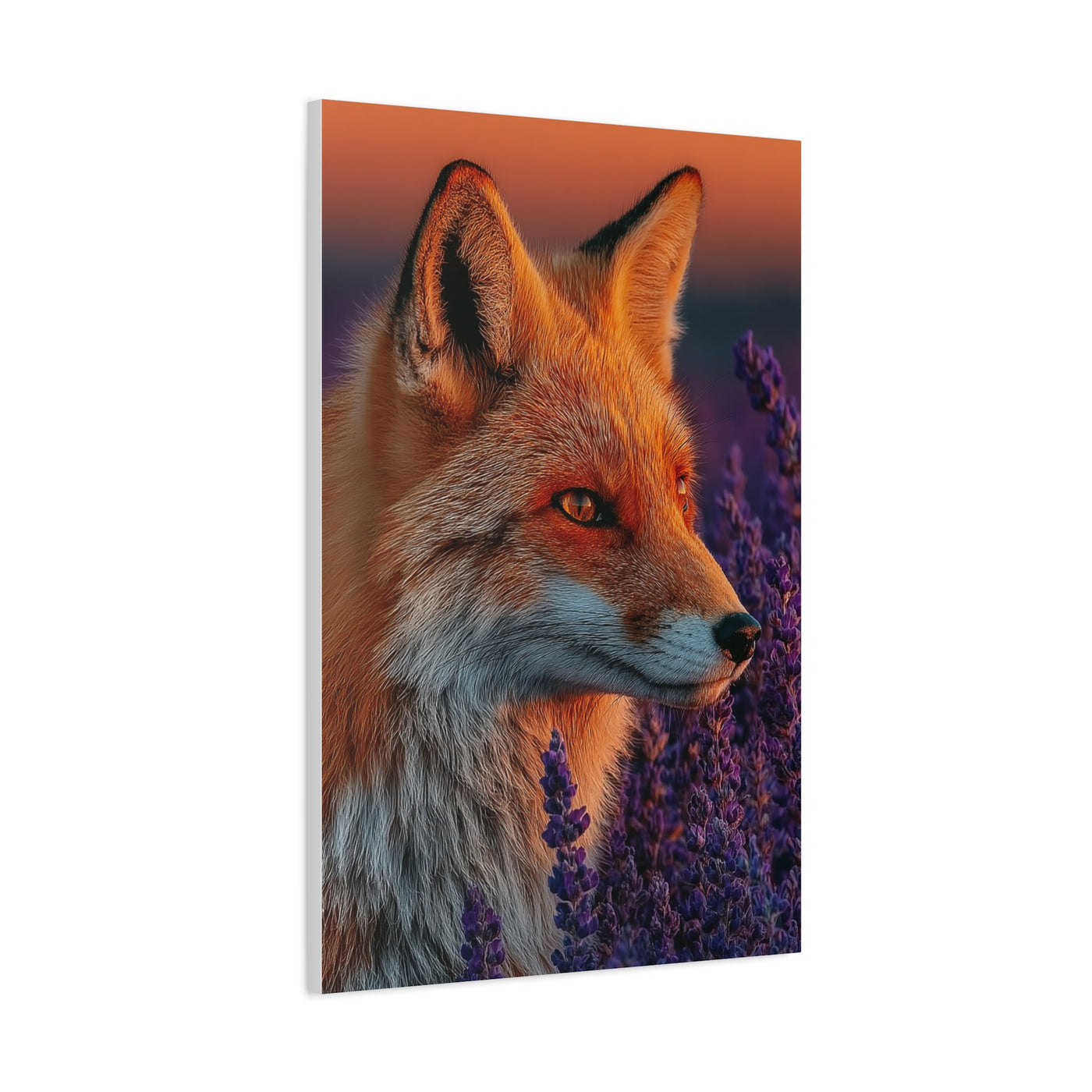 Lavender Field Fox Sunrise Wall Art & Canvas Print