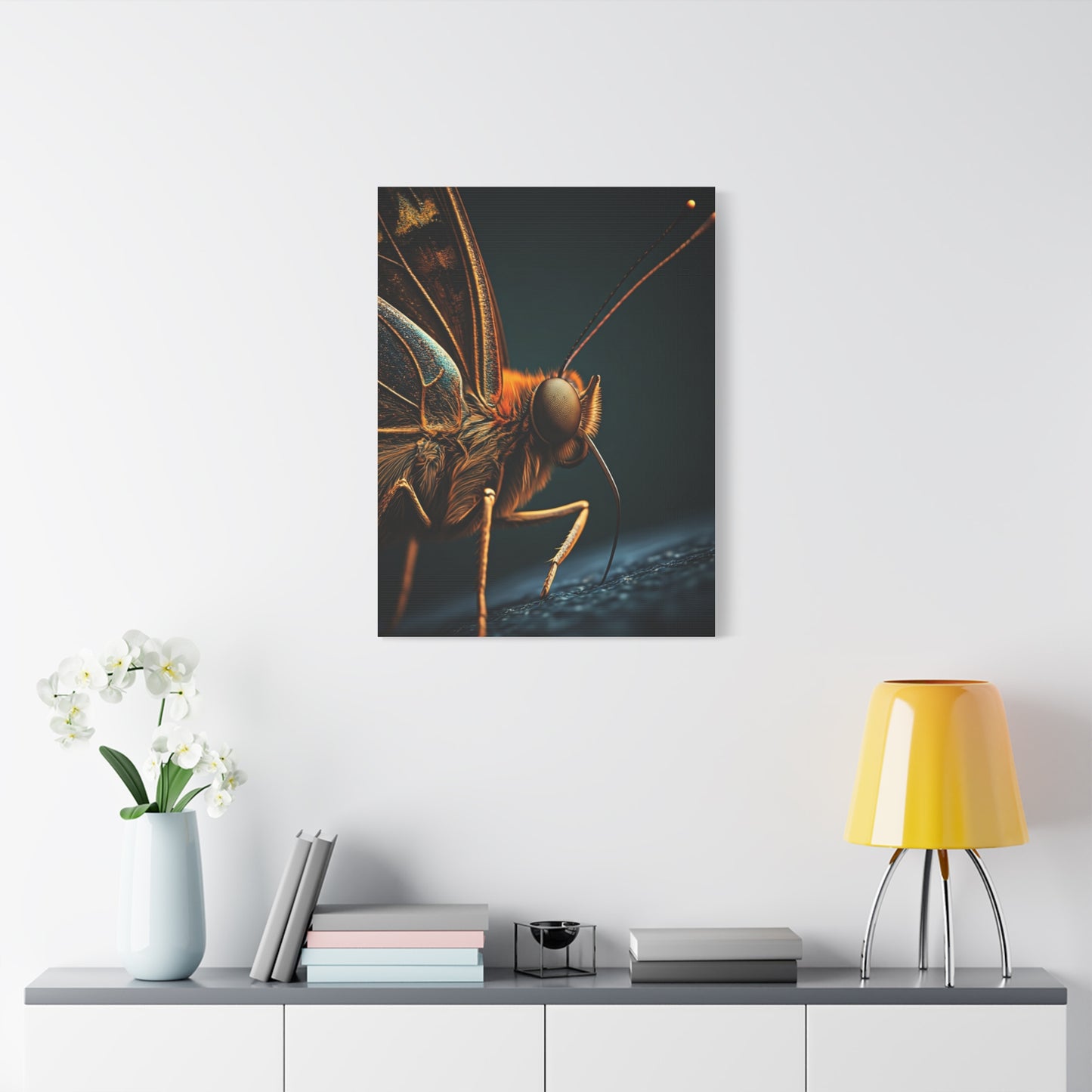 Butterfly Macro Anatomy Close-Up Wall Art & Canvas Prints