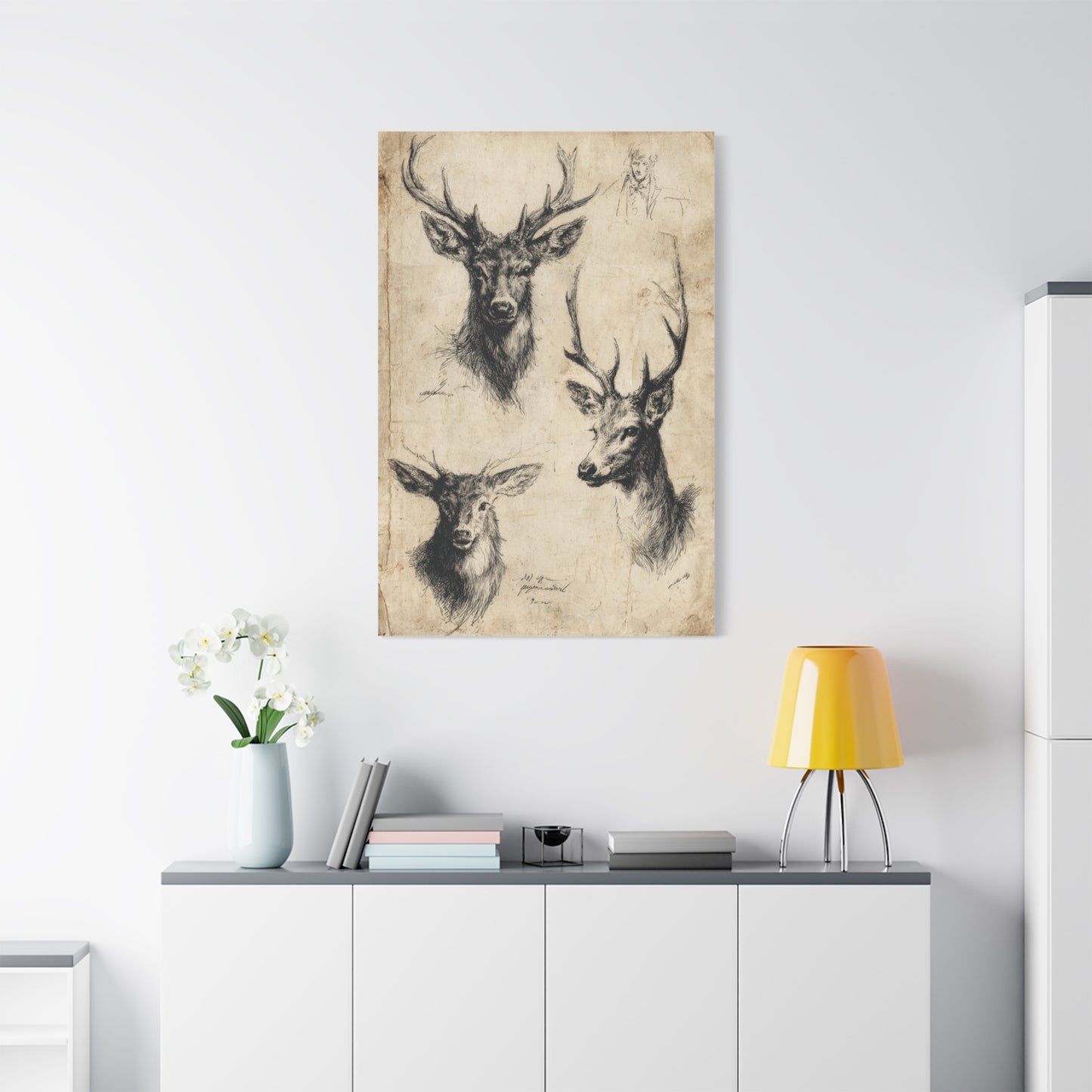 Vintage Natural History Deer Study Wall Art & Canvas Print