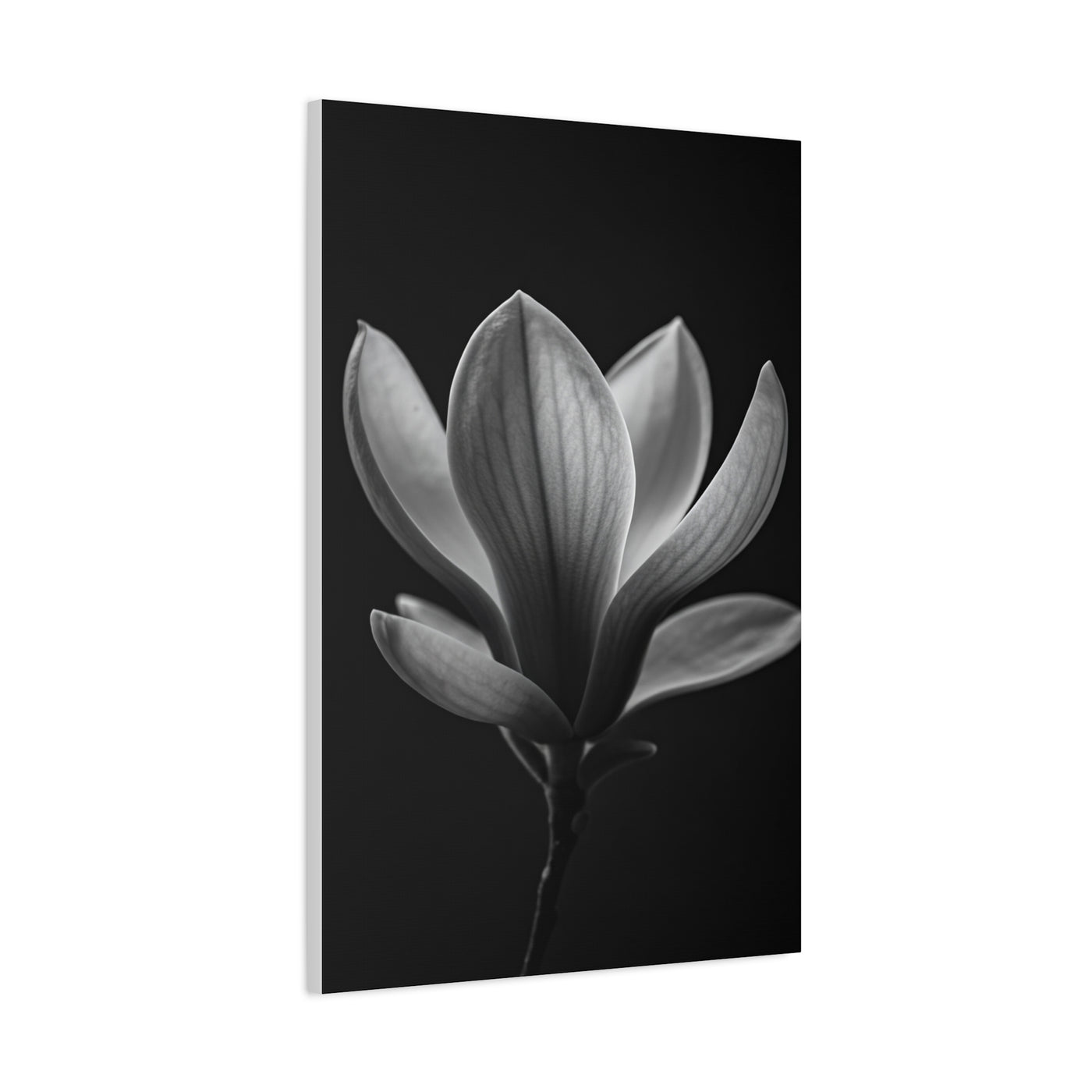 Magnolia Blossom Serenity Monochrome Wall Art & Canvas Prints