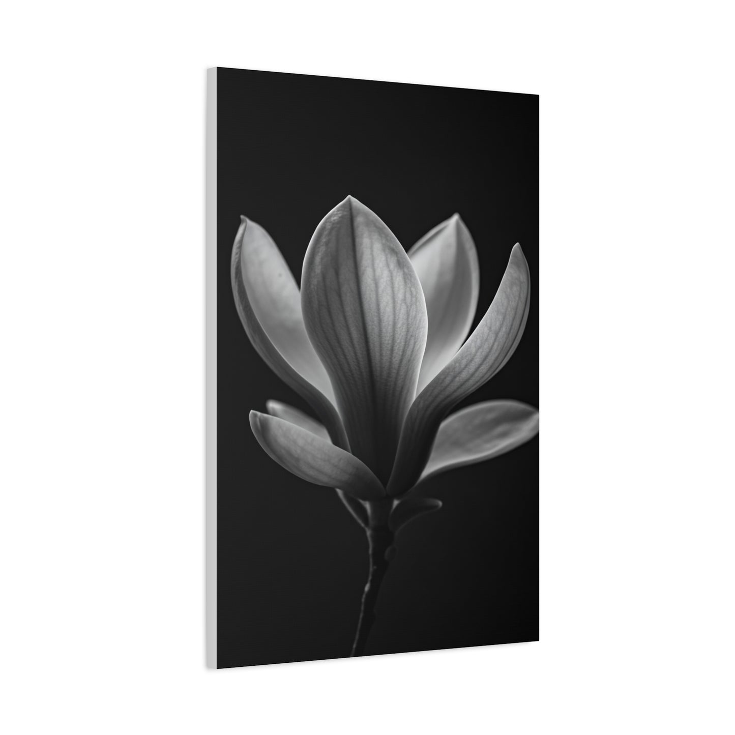 Magnolia Blossom Serenity Monochrome Wall Art & Canvas Prints