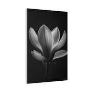 Magnolia Blossom Serenity Monochrome Wall Art & Canvas Prints
