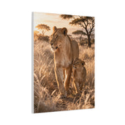 Lioness and Cub Golden Walk Wall Art & Canvas Print