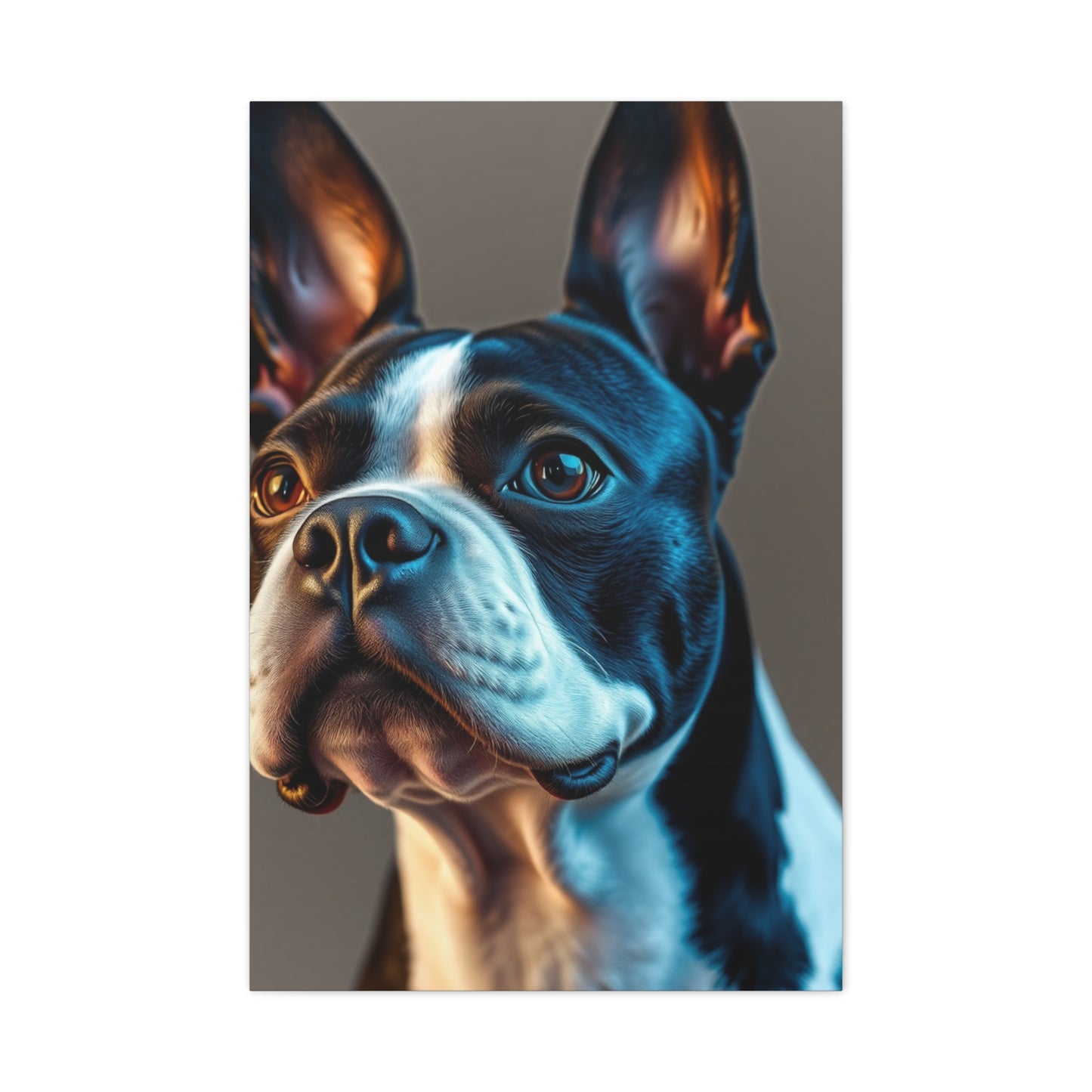 Boston Terrier Art Premium Gallery Wall Art & Canvas Print