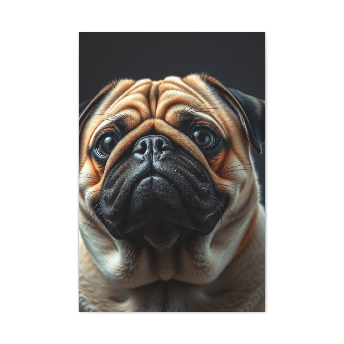 Supreme Pug Art Beautiful Collection Wall Art & Canvas Print