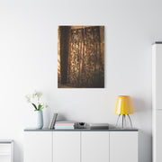 Wrought Iron Shutter Study Wall Art & Canvas Print