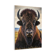 Symmetrical Prairie Bison Frontal Portrait Wall Art & Canvas Print
