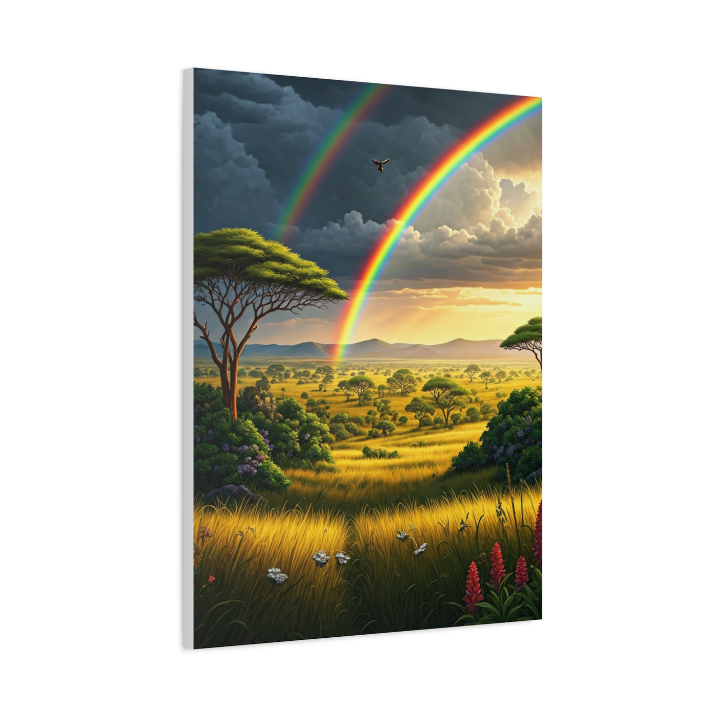 Rainbow Over African Savannah Landscape Wall Art & Canvas Prints