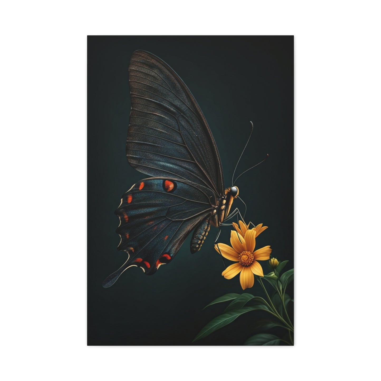 Midnight Black Butterfly On Wildflower Wall Art & Canvas Prints