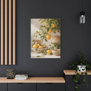 Mediterranean Citrus Botanical Still Life Wall Art & Canvas Print
