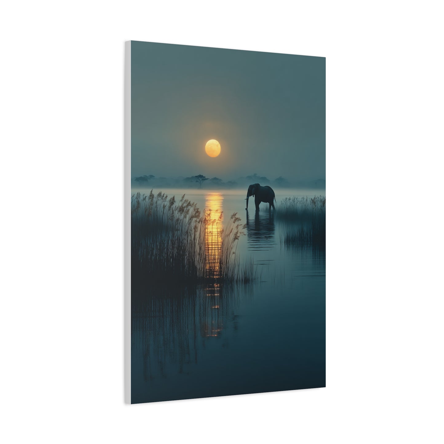 Moonlit Elephant Lake Reflection Wall Art & Canvas Print