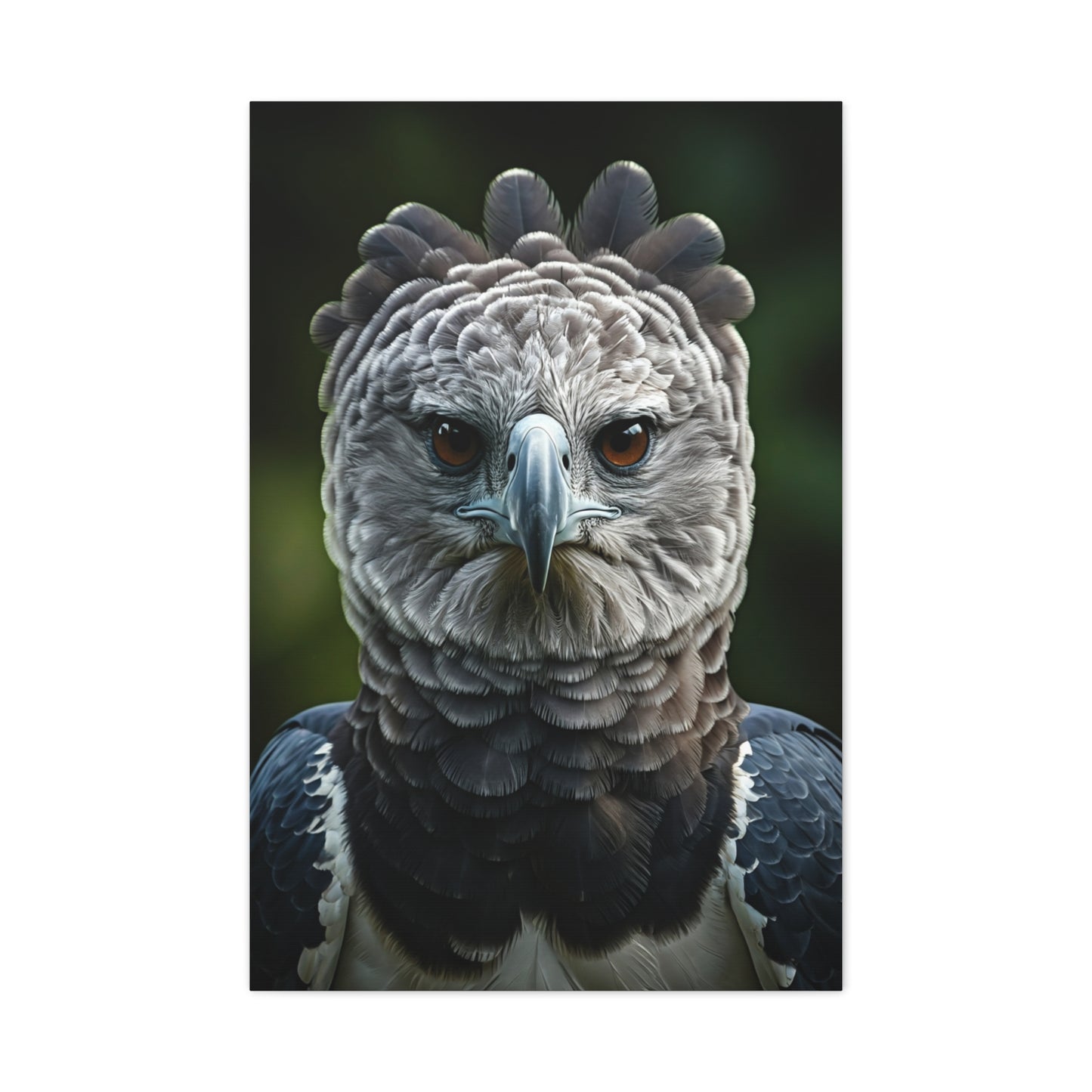 Regal Harpy Eagle Portrait Wall Art & Canvas Prints