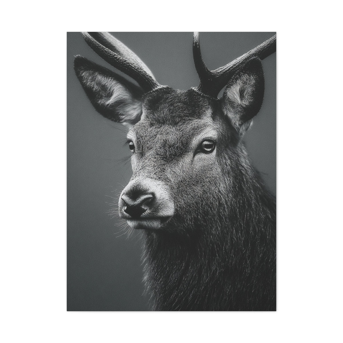 Highland Stag Moonlight Profile Wall Art & Canvas Print