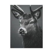 Highland Stag Moonlight Profile Wall Art & Canvas Print