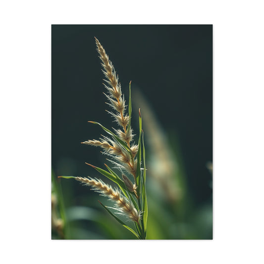 Weed Art Premium Canvas 19 Wall Art & Canvas Print