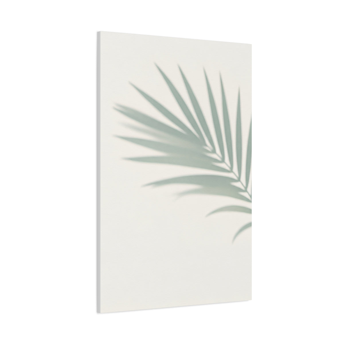 Soft Palm Frond Shadow Minimal Wall Art & Canvas Prints