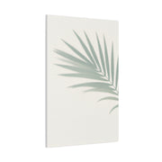 Soft Palm Frond Shadow Minimal Wall Art & Canvas Prints