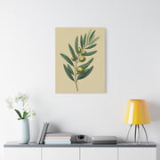 Olive Branch Study Wall Art & Canvas Prints