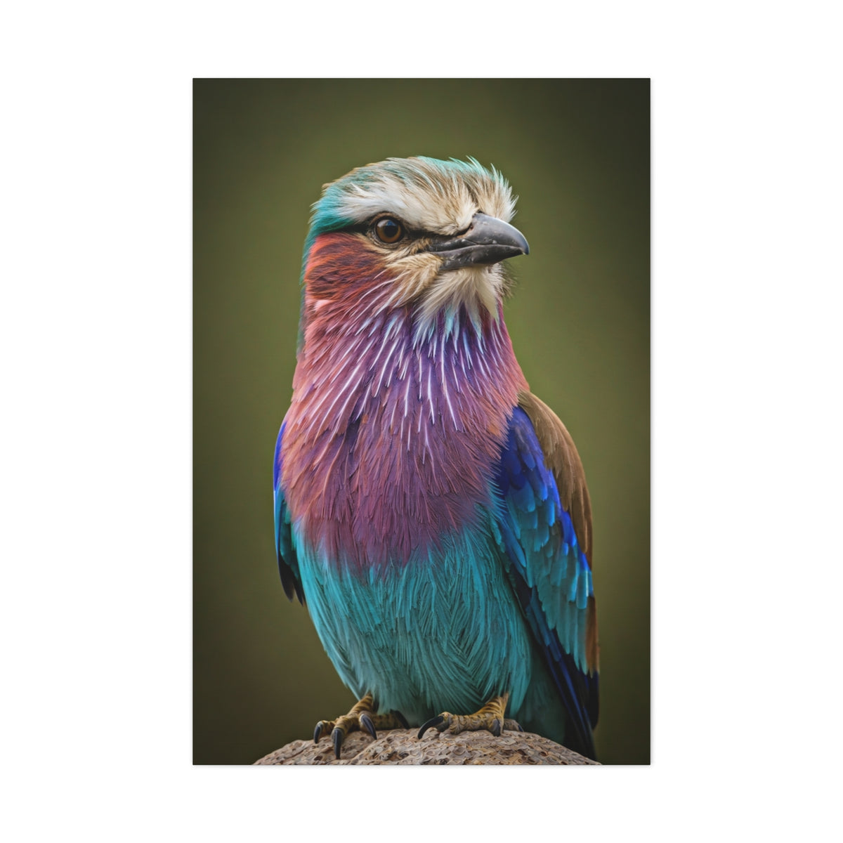 Lilac-Breasted Roller Serenity Wall Art & Canvas Prints