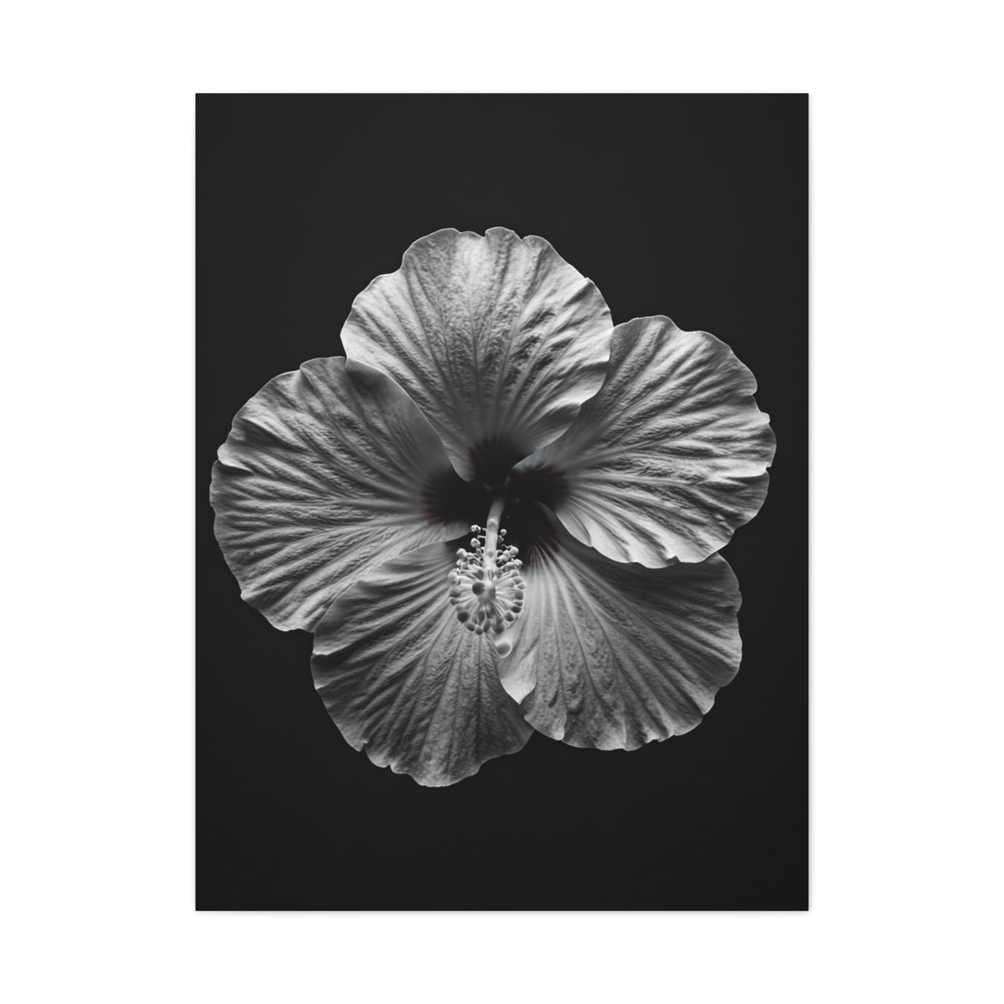 Monochrome Hibiscus Elegance Wall Art & Canvas Prints