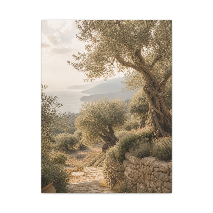 Olive Grove Coastal Serenity Wall Art & Canvas Print