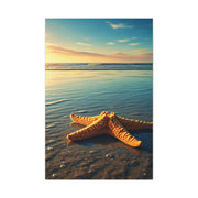 Starfish Resting in Shallow Sunset Waters Wall Art & Canvas Prints