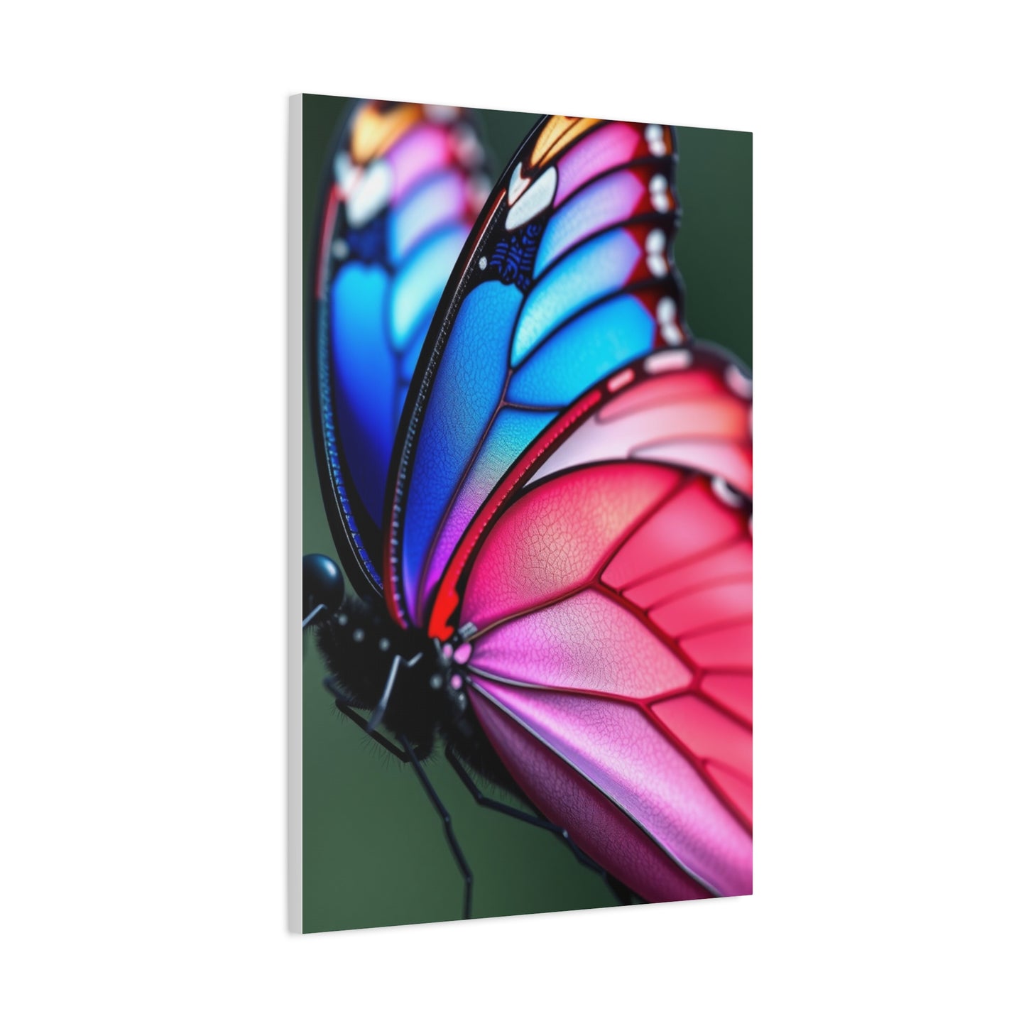 Divine Alae Canvas Wall Art & Canvas Print