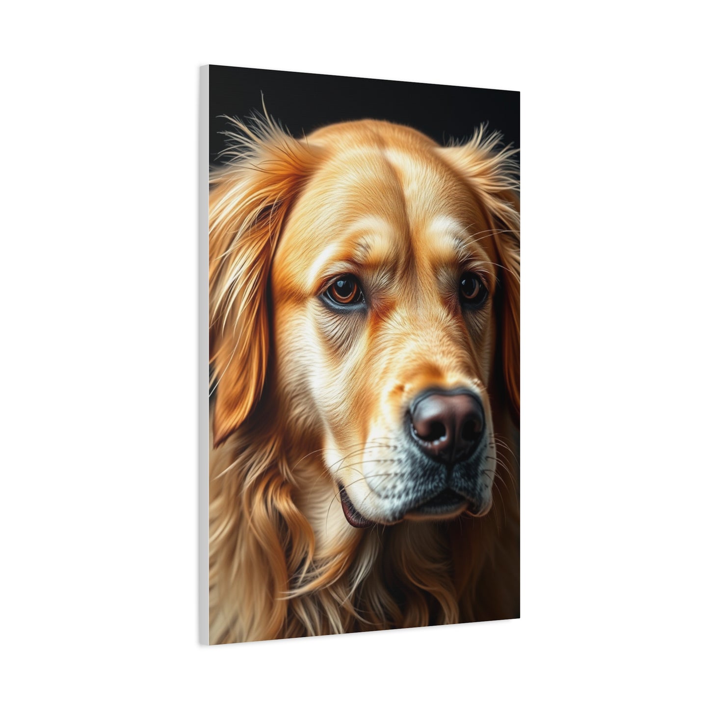 Supreme Golden Retriever Art Collection Wall Art & Canvas Print