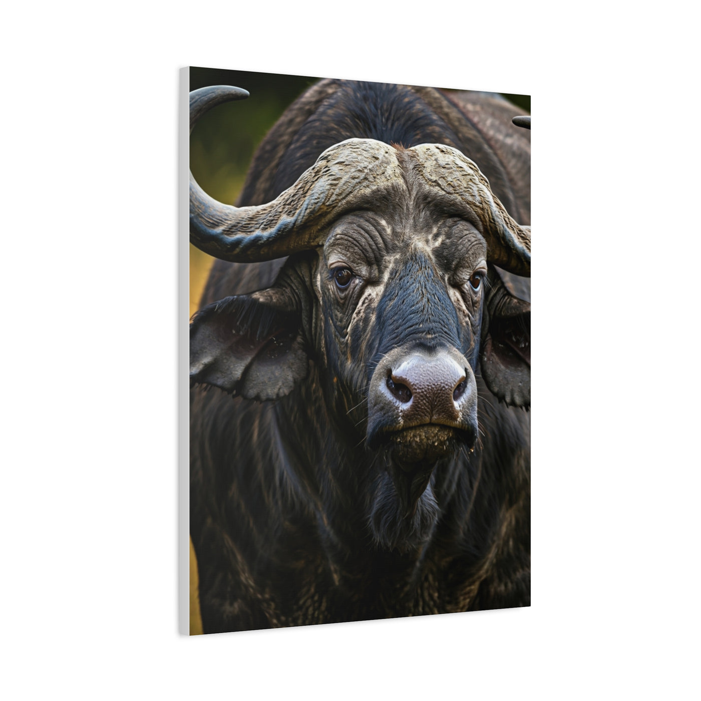 Mud-Covered Water Buffalo Close-Up Wall Art & Canvas Print