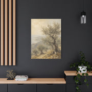 Mediterranean Olive Grove Light Trees Wall Art & Canvas Print